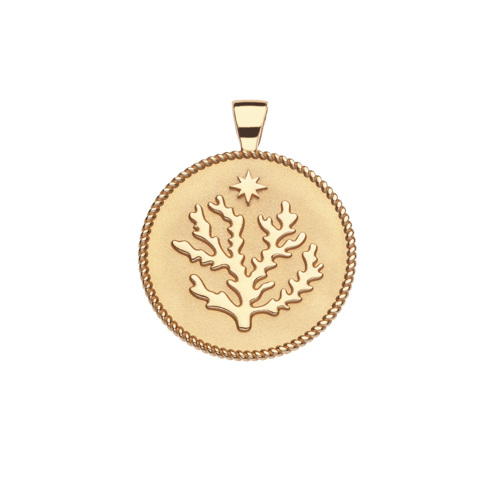 BERMUDA JW Original Pendant Coin
