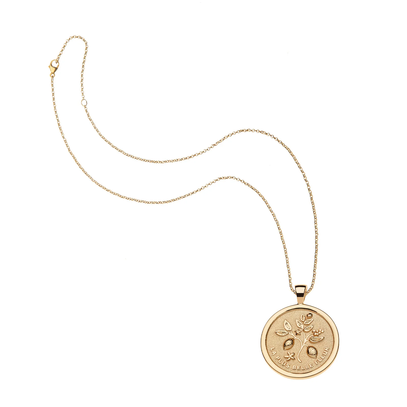 GRATITUDE JW Original Pendant Coin - Image 4