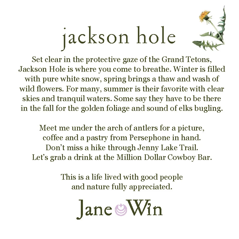 JACKSON HOLE JW Original Pendant Coin - Image 4